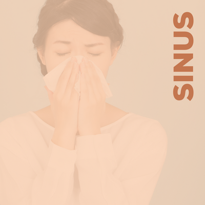 Sinus & Allergy